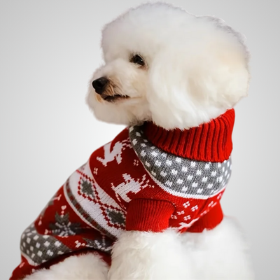 Varm Hundtröja – Stickad & Mysig