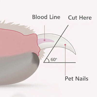 Pet Nail Trimmer – LED och Säker